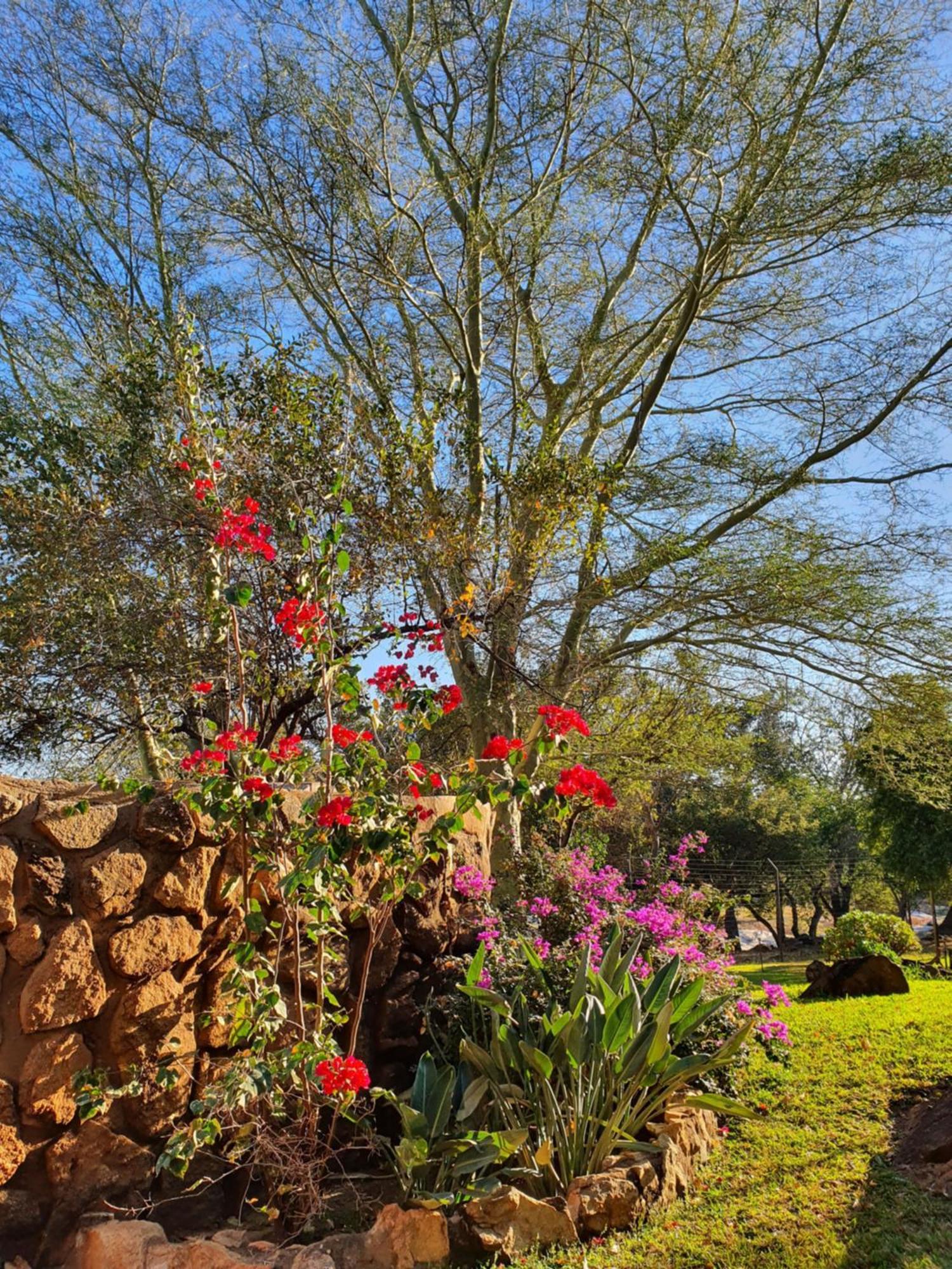 Hasekamp Family Bush Lodge Hoedspruit Exteriér fotografie