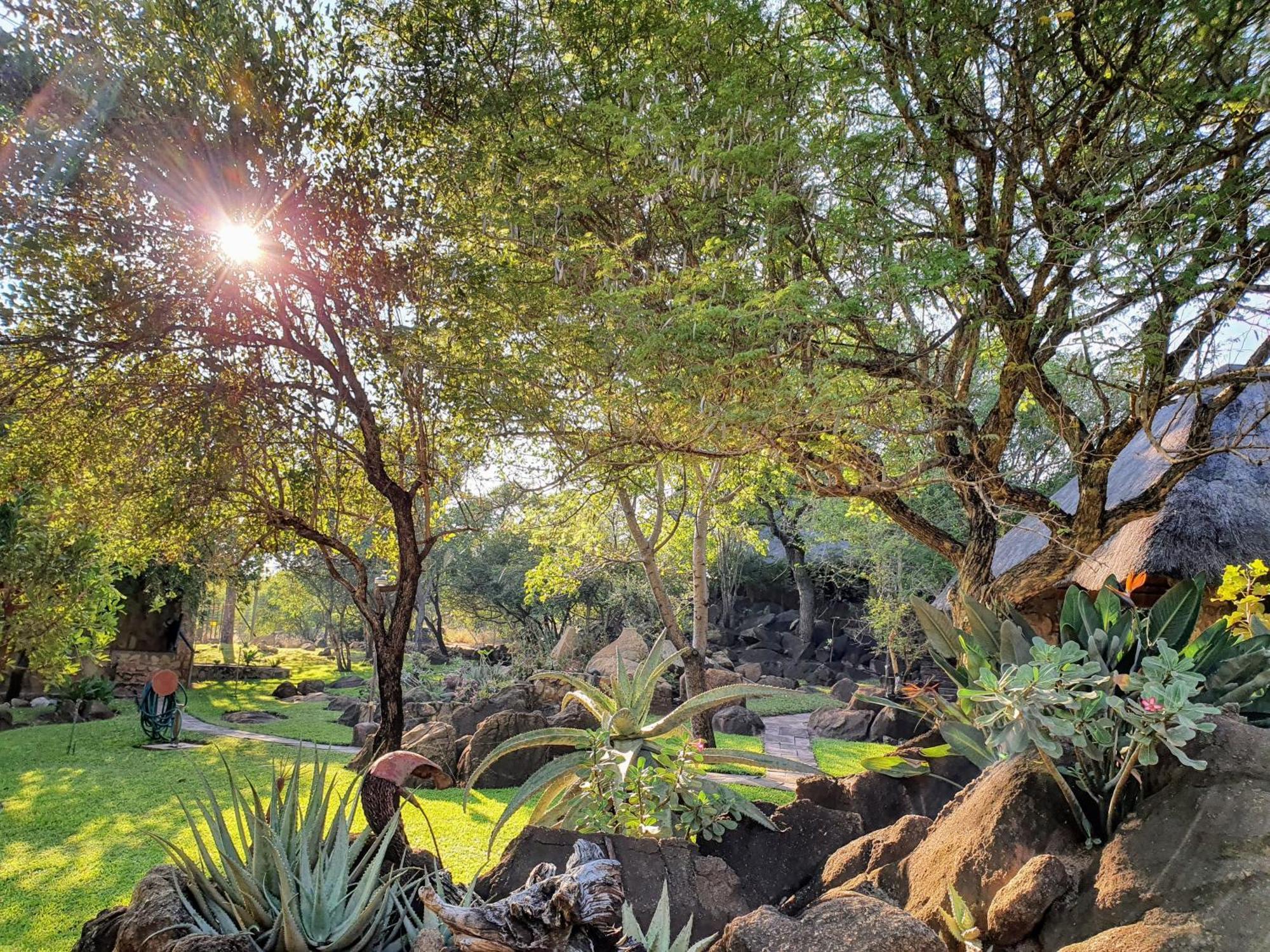 Hasekamp Family Bush Lodge Hoedspruit Exteriér fotografie