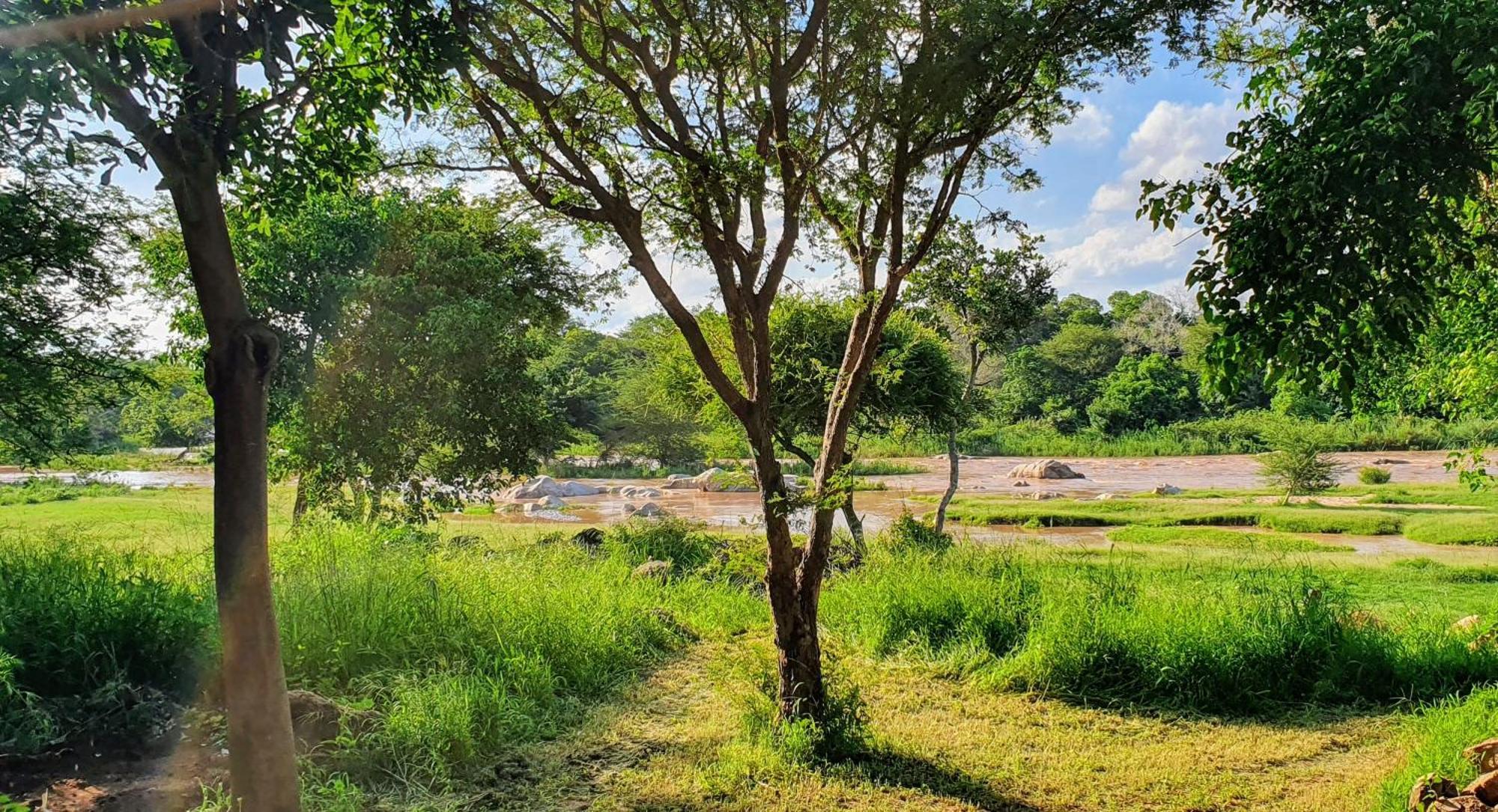 Hasekamp Family Bush Lodge Hoedspruit Exteriér fotografie