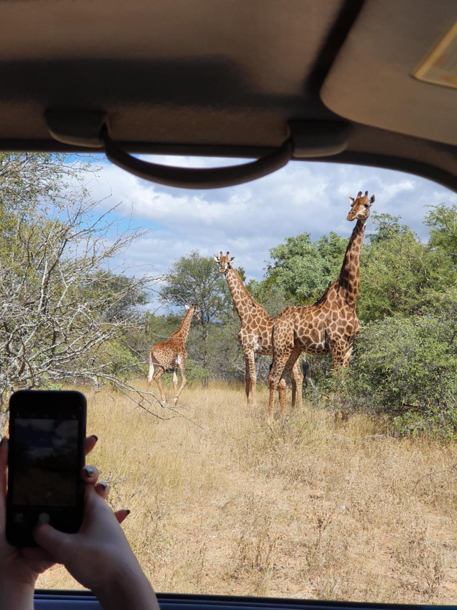 Hasekamp Family Bush Lodge Hoedspruit Exteriér fotografie